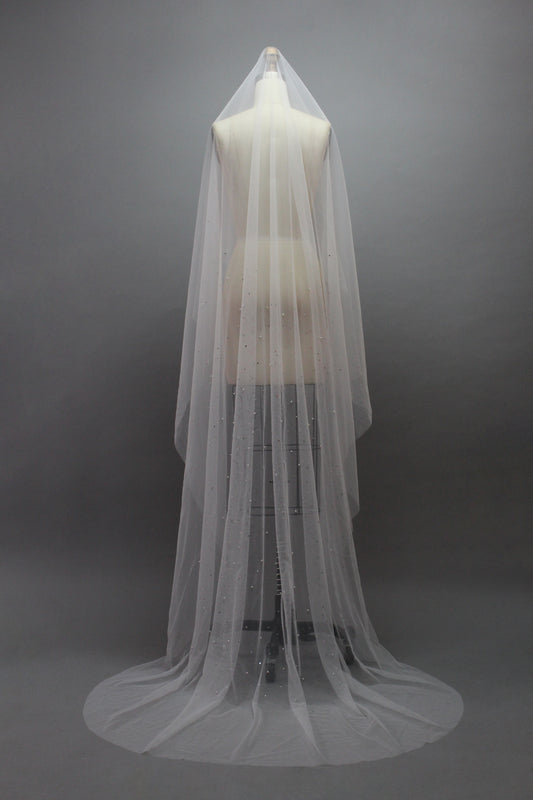 Graceful Lace and Pearl Veil T044